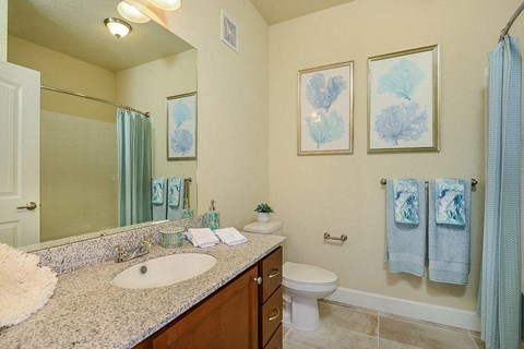Primary bath with walk-in shower
