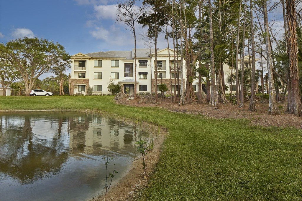 Preserve Cypress Hammock