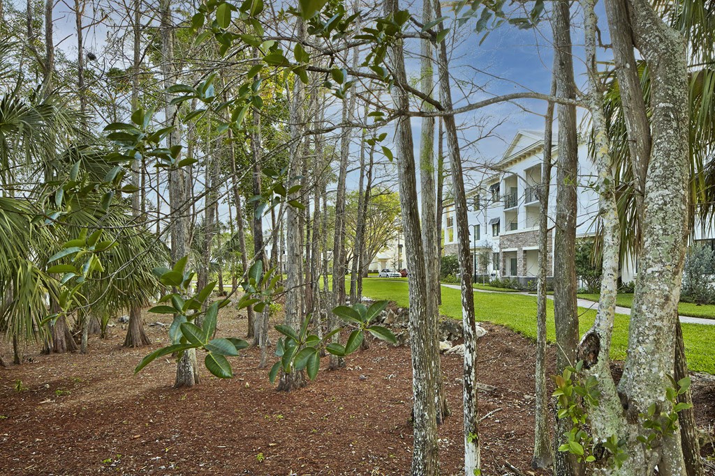 Preserve Cypress Hammock Trail