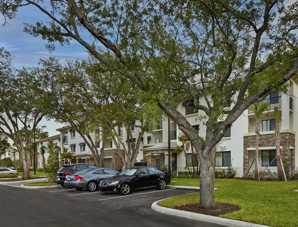 Preserve Cypress Hammock