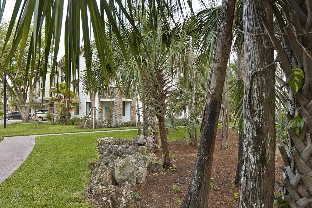 Preserve Cypress Hammock