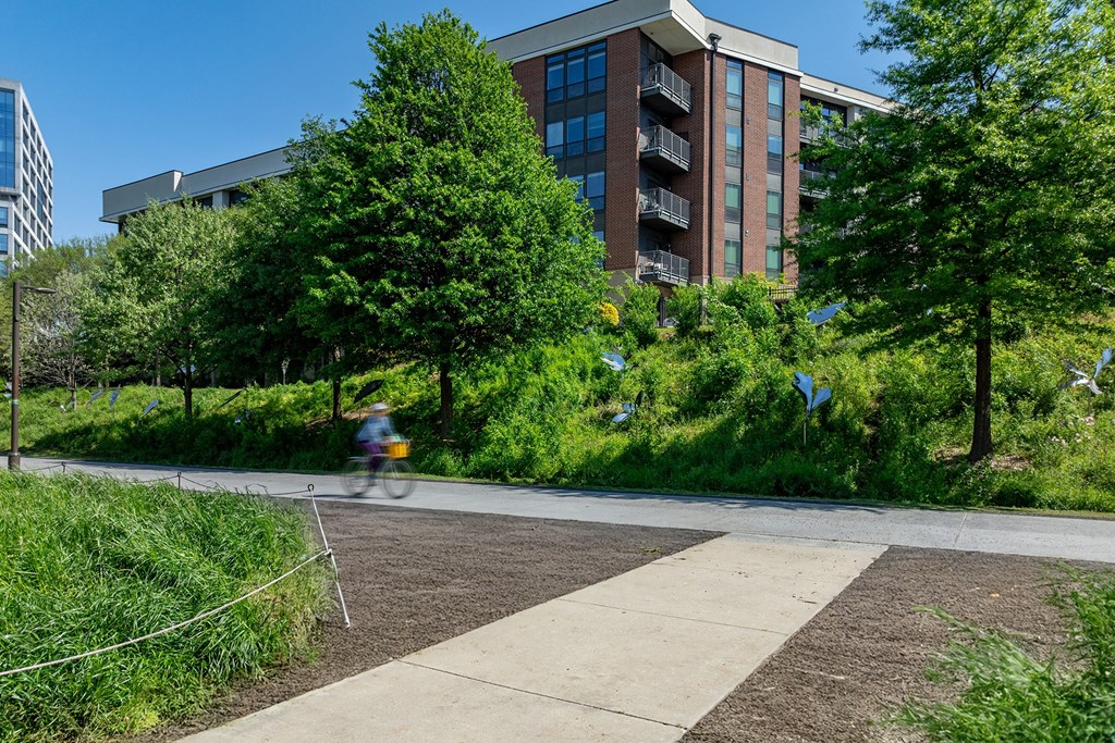 A person riding a bicycle on a path in a park.