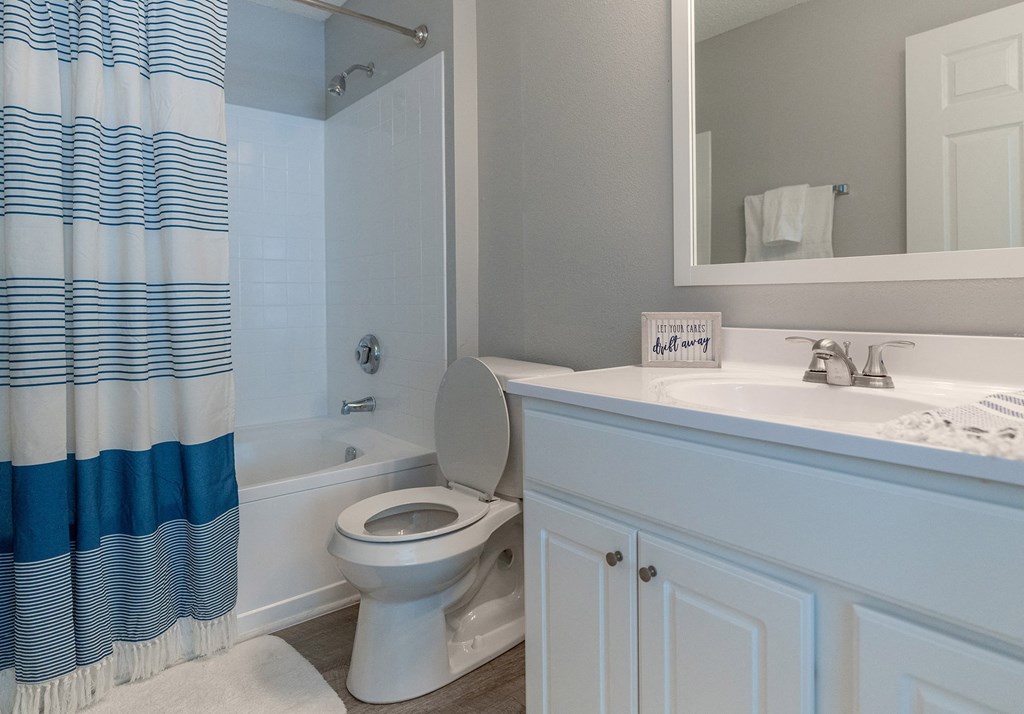 a bathroom with a shower and a toilet and a sink