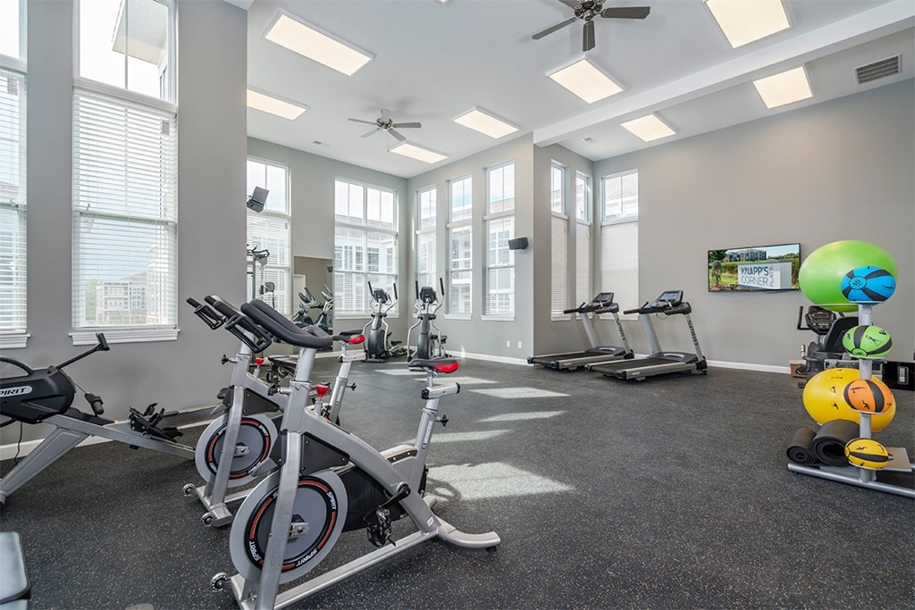 Dog-Friendly Apartments in Wyoming, MI - The Retreat - 24-Hour Fitness Center with Rubberized Flooring, High Ceiling, Recessed Lighting, Ceiling Fans, Mounted Speaker, Large Windows with Blinds, Stationary Bikes, Treadmills, Rowing Machine, and Elliptical Trainers, Mounted Flat Screen Monitor, Exercise Balls, and Yoga Mats.