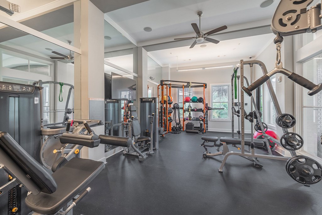 A gym with a variety of equipment including a treadmill, weights, and a bench press.