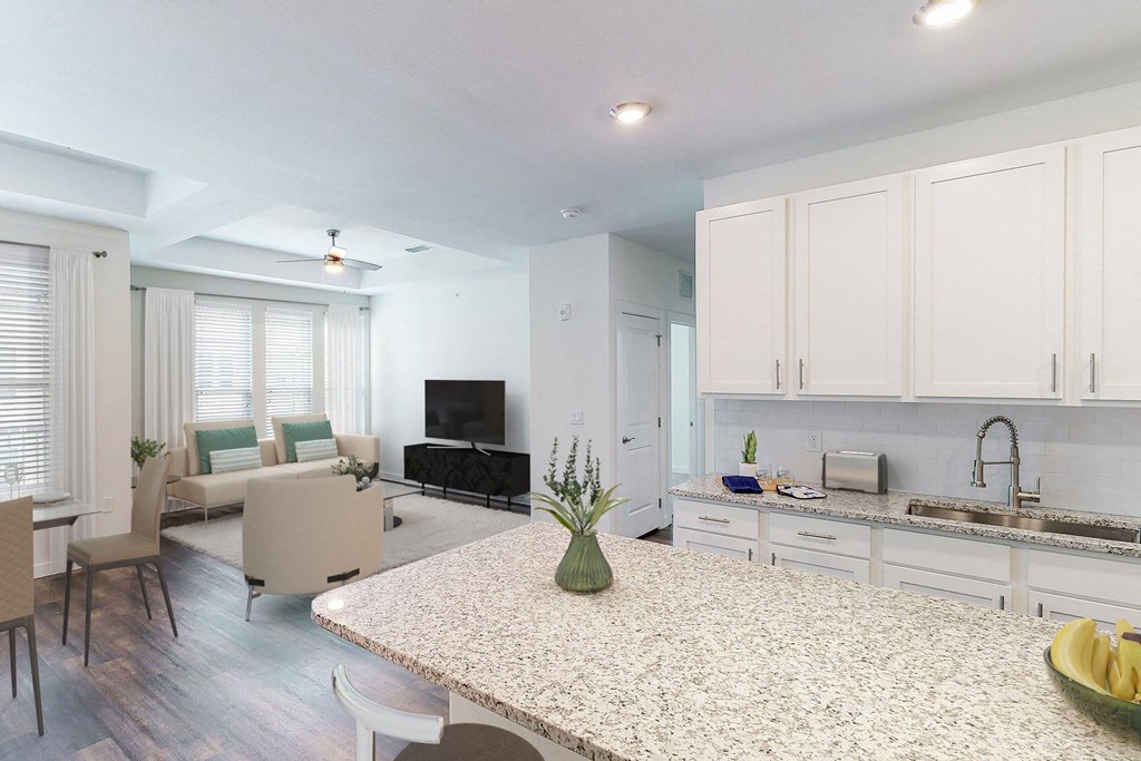 Carson Kitchen and Living