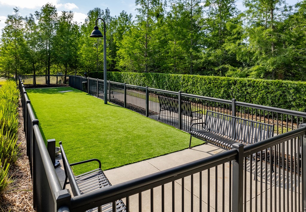 a park with a lawn and a fence