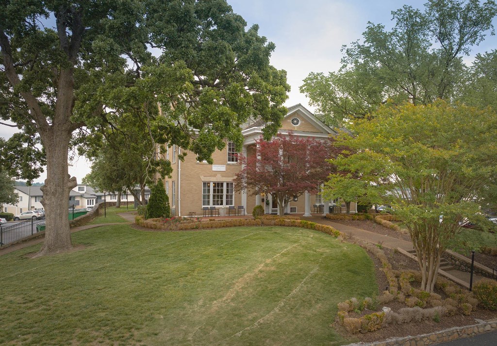 a house on a hill with a tree in front of it