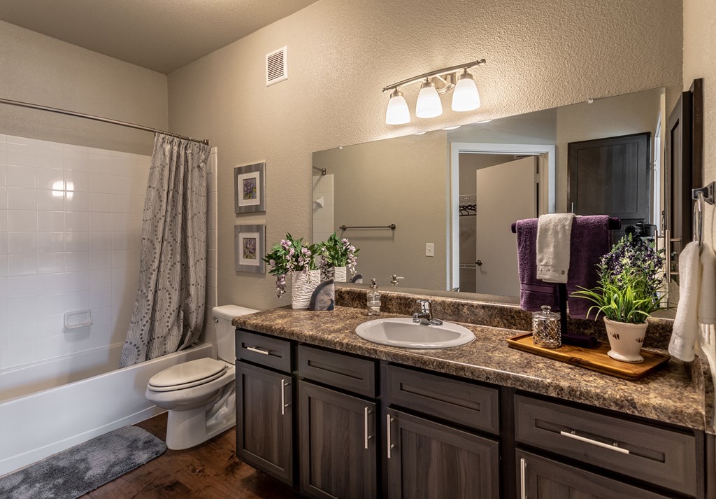 a bathroom with a sink and a toilet