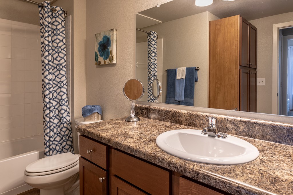 a bathroom with a sink and a toilet and a mirror