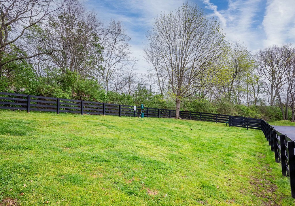 a large grassy area with a fence and trees in the background