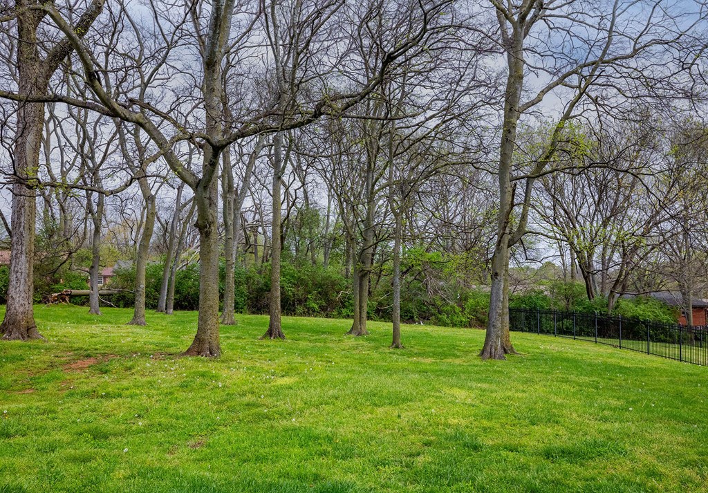 a grassy area with trees in the background