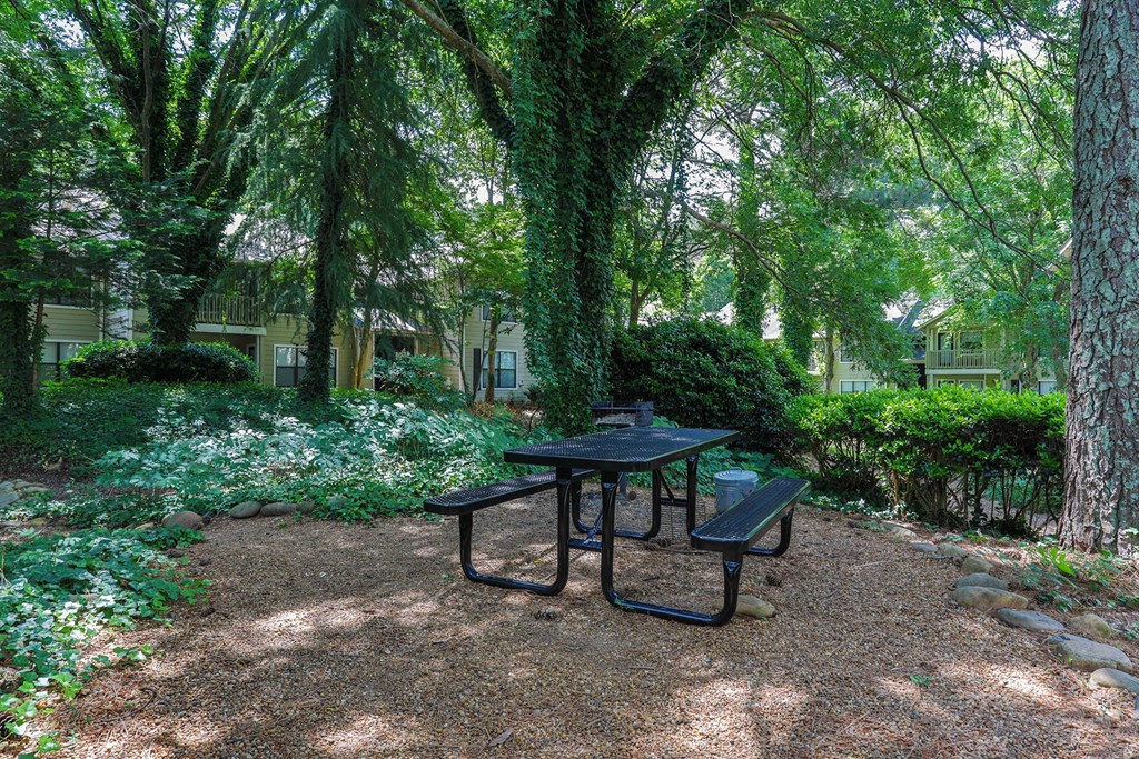 Augusta Commons Picnic Area