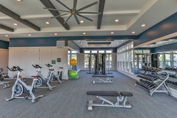 The Aster Fitness Center - Photo Gallery 12