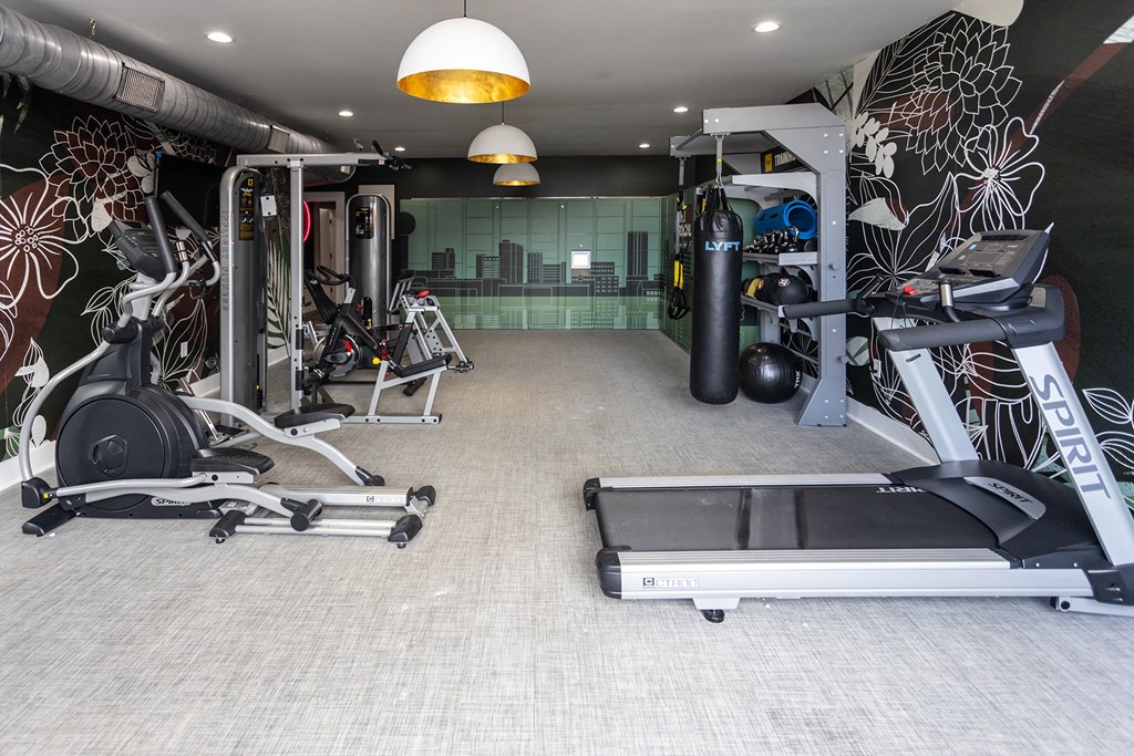 a large fitness room with treadmills and other exercise equipment