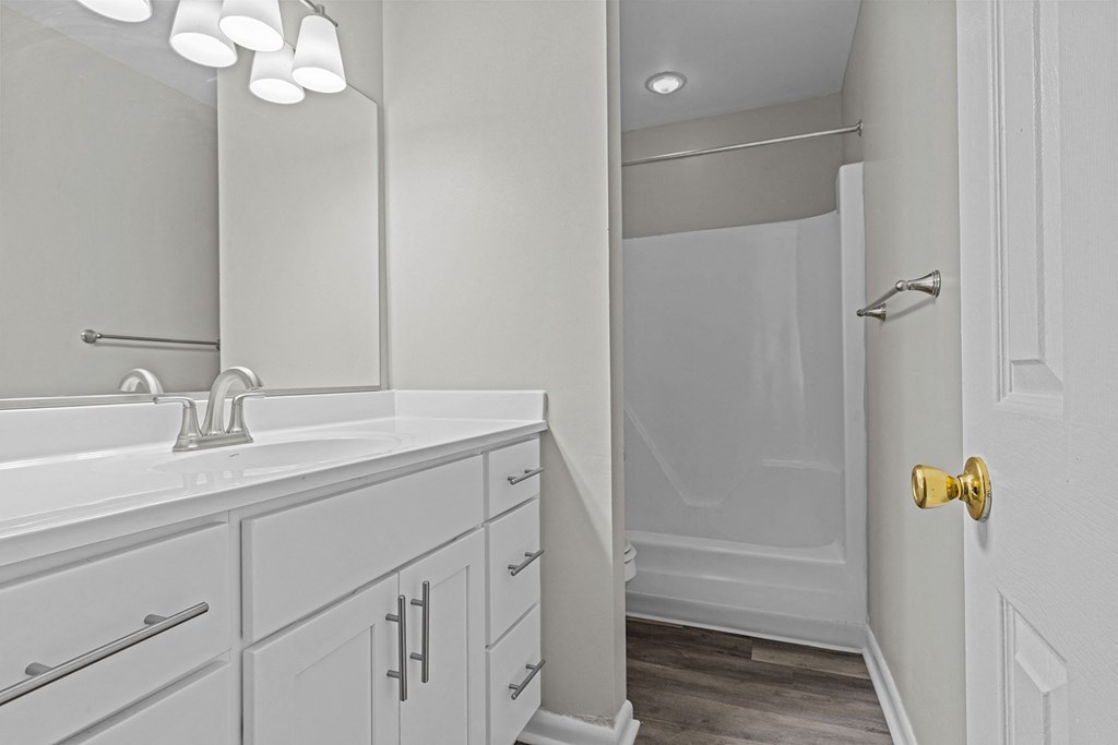 a bathroom with a sink and a mirror and a shower