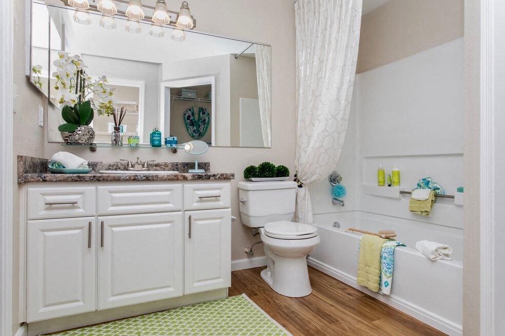 a bathroom with a toilet and a sink and a mirror
