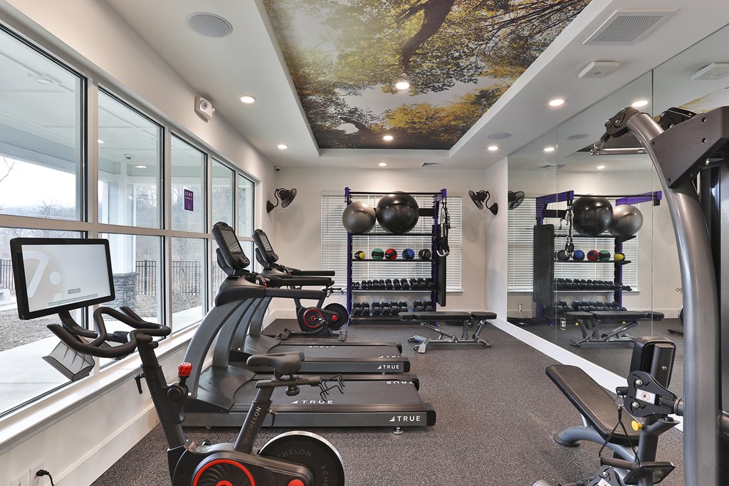 A gym with a row of treadmills and a wall of dumbbells.