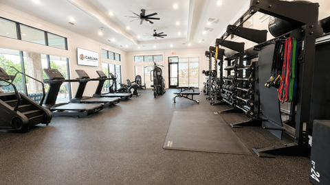 A gym with treadmills, weights, and exercise equipment.