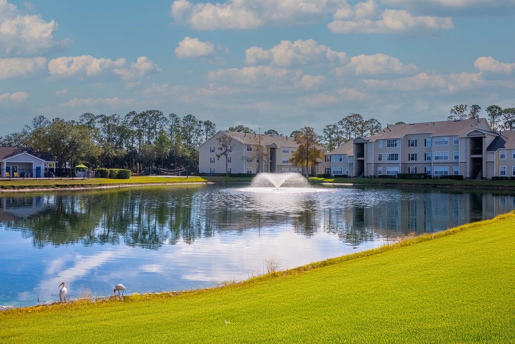 Two people are walking on a grassy area near a lake.