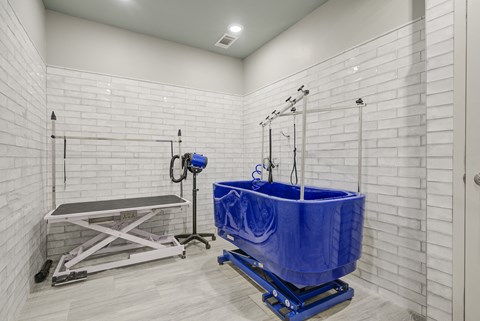 Constellation Apartment Homes