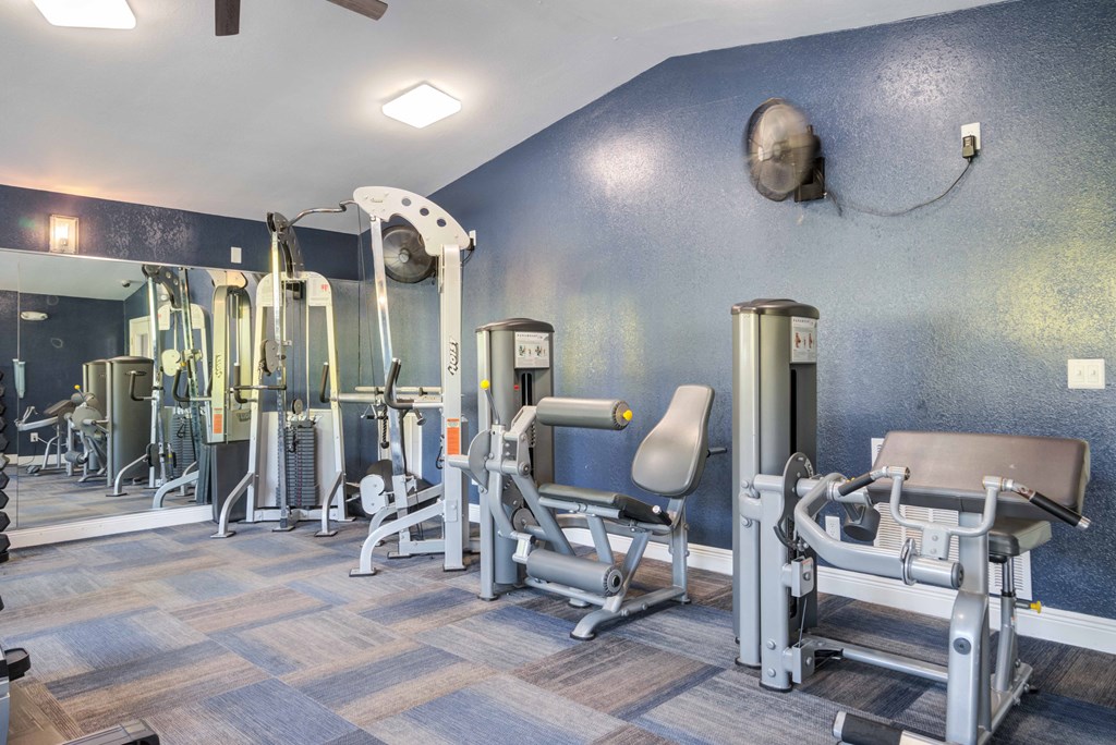 A gym with a variety of equipment including a leg press machine, a chest press machine, and a squat rack.