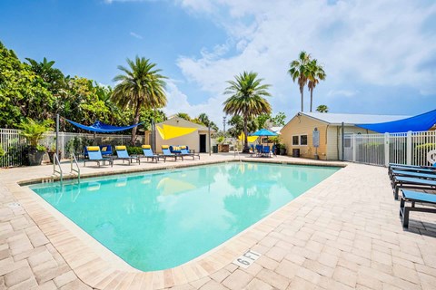 A large outdoor swimming pool surrounded by palm trees and lounge chairs at Coral Club Apartments in Bradenton, FL