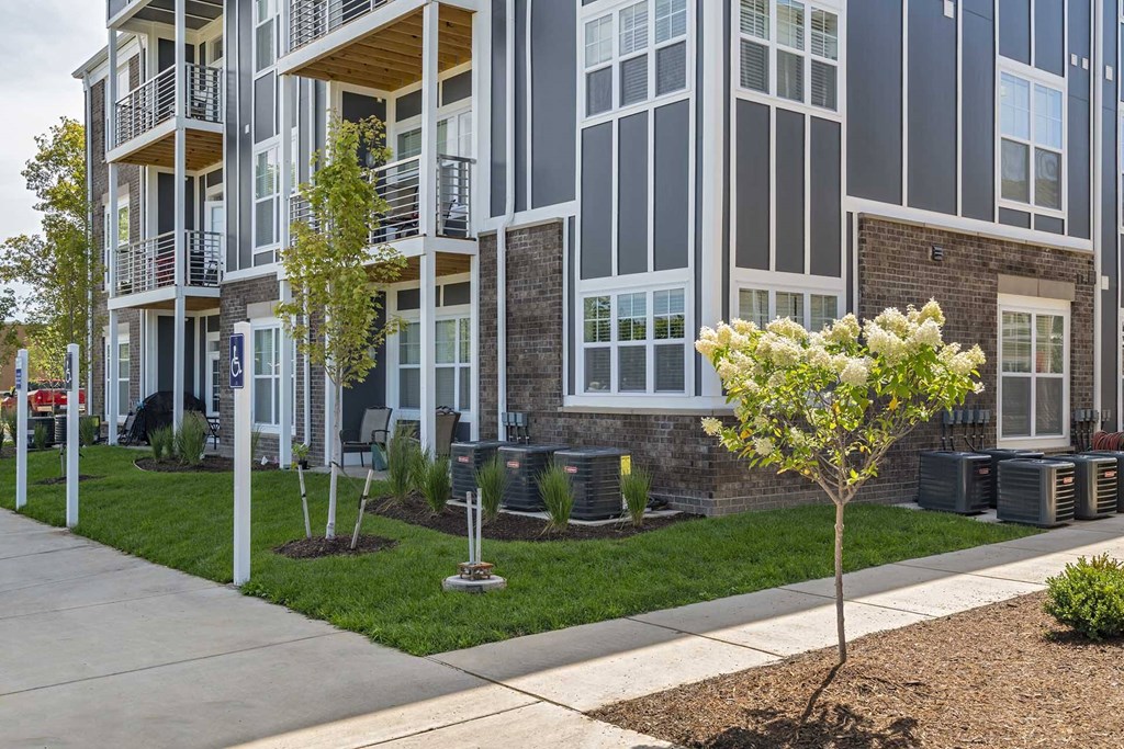 A tree with white flowers is in the front yard of a modern apartment building.