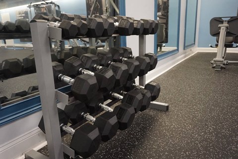 24 hour fitness center