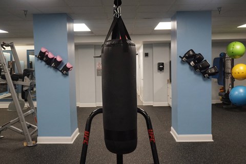 24 hour fitness center