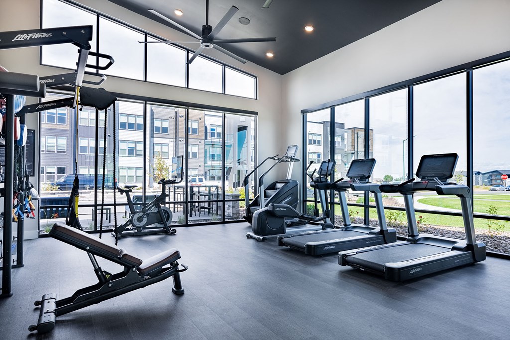 a gym with cardio equipment and windows with a view of the city