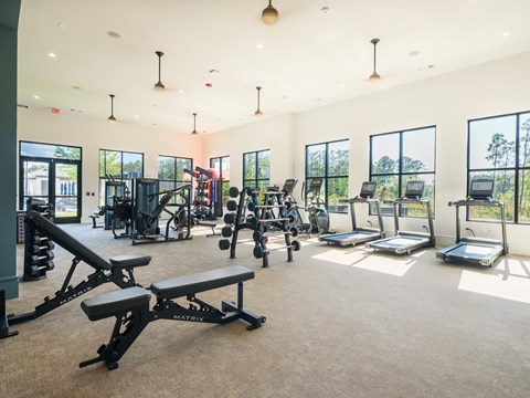 A gym with a variety of equipment including treadmills, weights, and exercise machines.