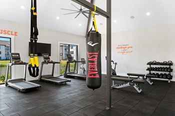 a gym with weights and a punching bag hanging from a rack