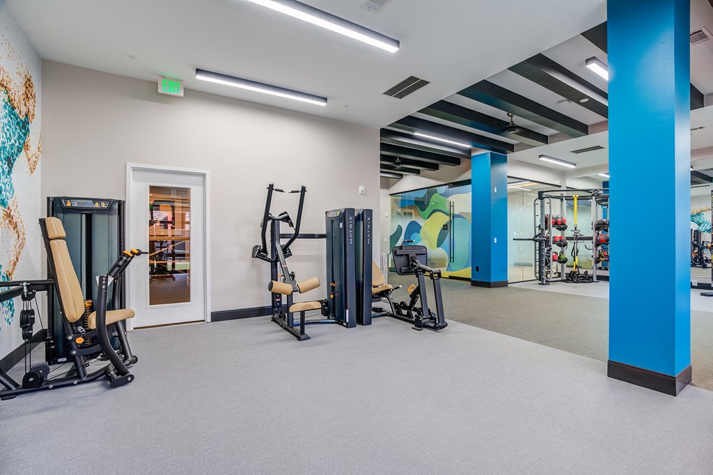 a gym with exercise equipment and a mural on the wall