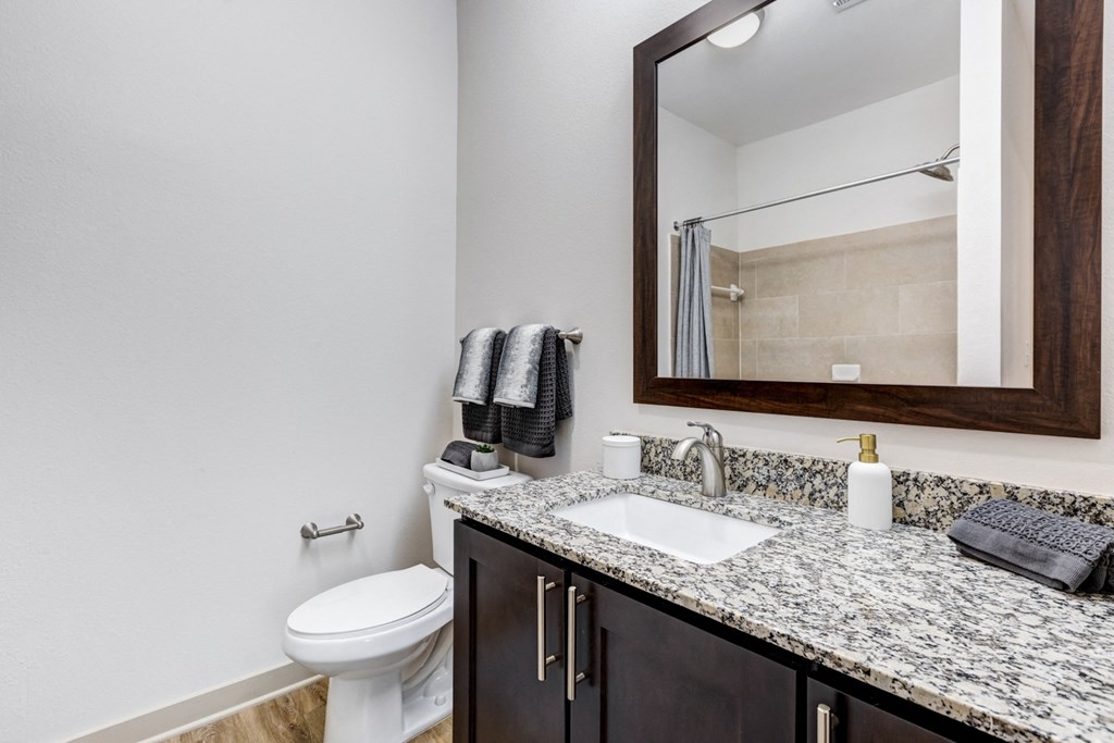 a bathroom with a sink and a toilet and a mirror