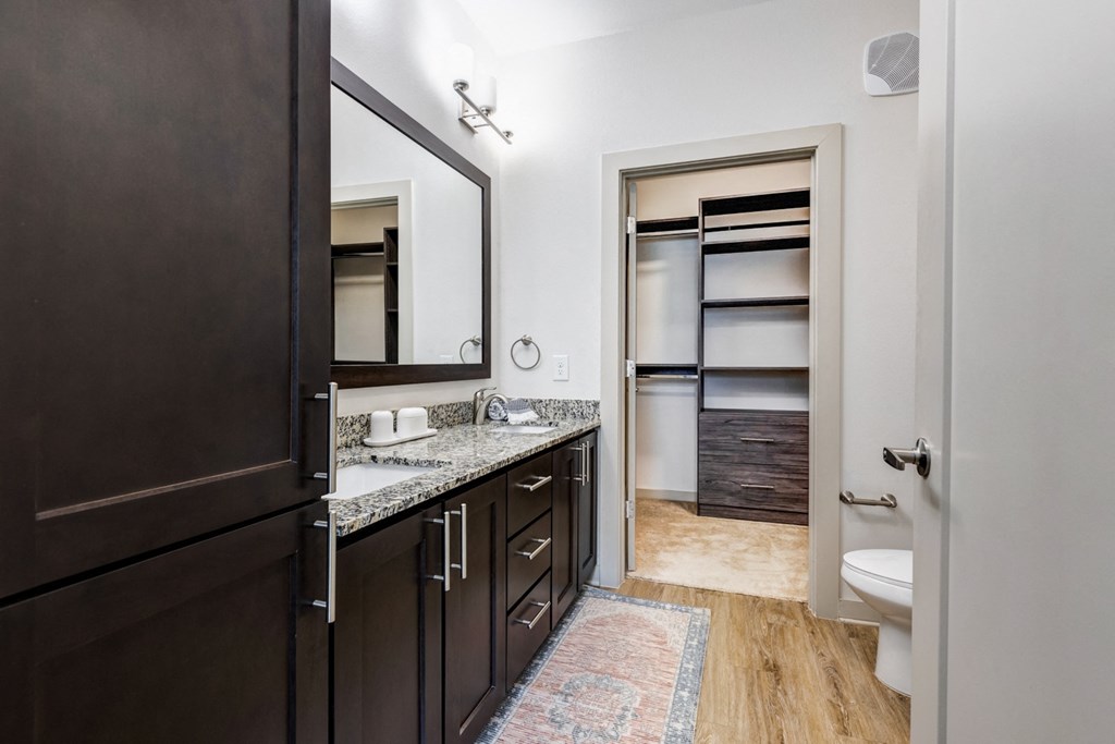 a bathroom with a sink and a mirror and a toilet