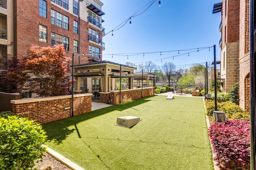 the preserve at ballantyne commons dog park