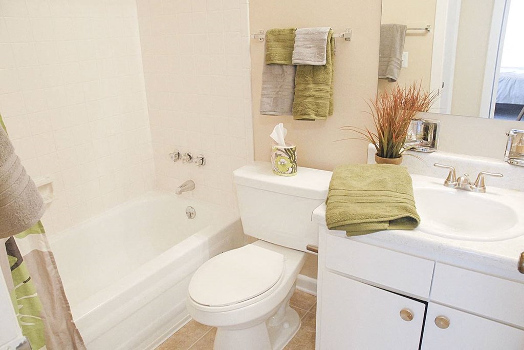 The Grove at Enon Springs Bathroom