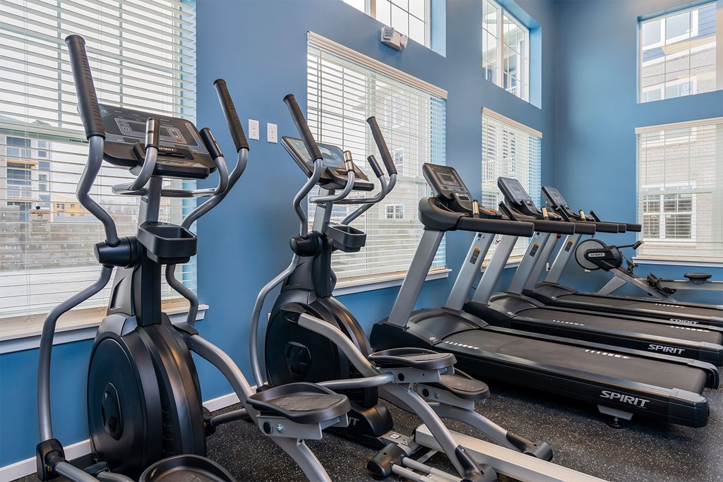 A row of exercise bikes are lined up in a gym.