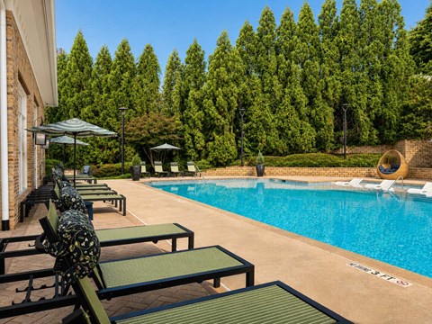 A pool surrounded by trees and a bench.