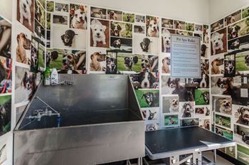 Pet Spa | The Everly Apartments
