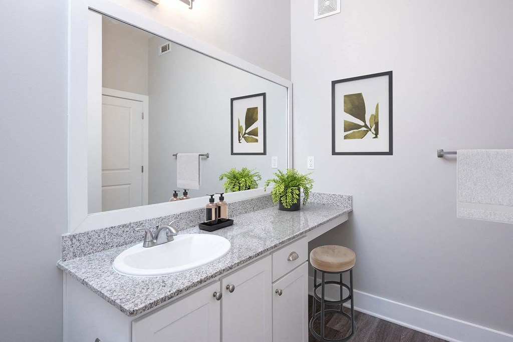 a bathroom with a sink and a mirror
