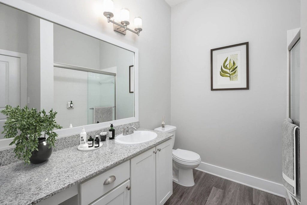 our apartments offer a bathroom with a shower