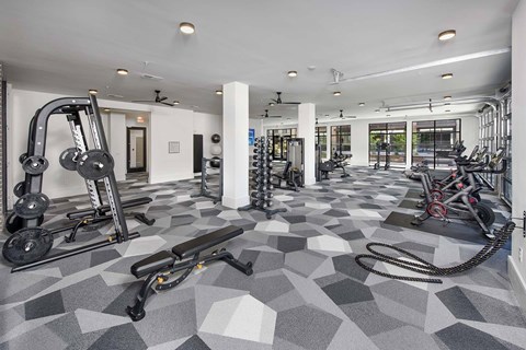 A gym with a variety of equipment including a treadmill, weights, and a rowing machine.