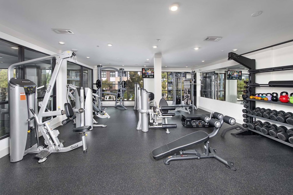 A spacious gym with a variety of equipment including treadmills, weights, and exercise machines.