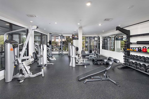 2-Bedroom Luxury Apartments in Decatur, GA - Reserve Decatur - Spacious Fitness Center With Strength Machines, Free Weights, Exercise Bench, and Bright Window Views.
