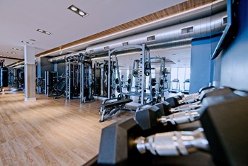 the rise fitness center - Photo Gallery 16