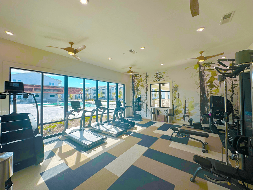 A gym with treadmills, weights, and exercise equipment.
