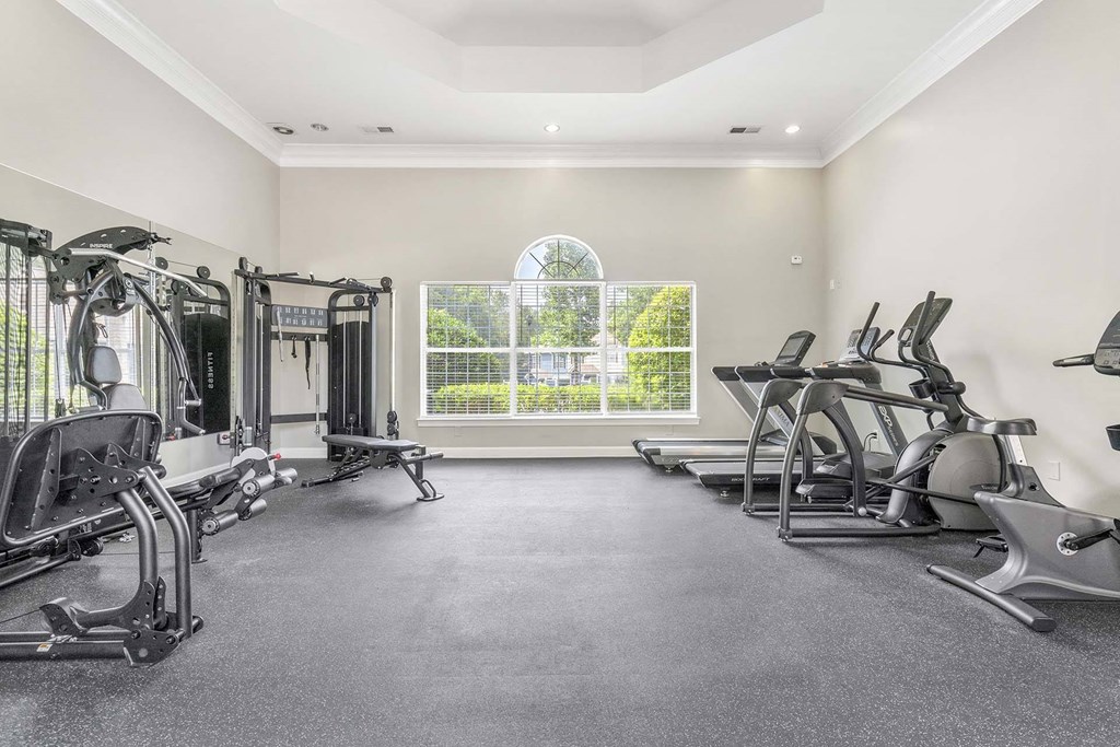 A spacious gym with a variety of exercise equipment and a view of the outdoors through a large window.