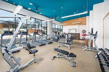 Fitness Center w/ Cardio and Weight Training Machine